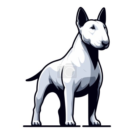 Bull terrier perro cuerpo completo vector ilustración, lindo animal de compañía divertido adorable, de pie de raza pura perro concepto plantilla de diseño aislado sobre fondo blanco