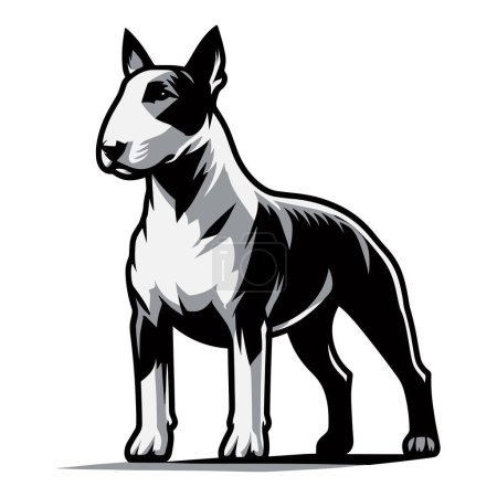 Bull terrier perro cuerpo completo diseño ilustración, de pie concepto de perro de raza pura, lindo adorable mascota divertida animal vector plantilla aislado sobre fondo blanco 