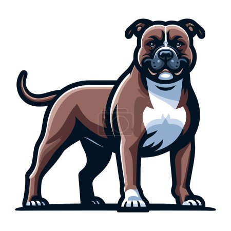 Illustration for Pitbull bulldog full body design illustration, Full-length portrait of a standing animal pet pitbull terrier dog. Vector template isolated on white background - Royalty Free Image