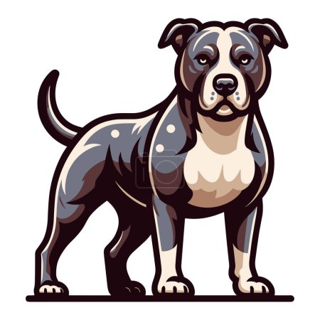 Téléchargez les illustrations : Pitbull bulldog illustration de la conception complète du corps, portrait complet d'un animal debout pitbull terrier chien. Modèle vectoriel isolé sur fond blanc - en licence libre de droit