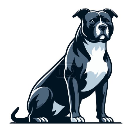 Pitbull bulldog ilustración de diseño de cuerpo completo, Retrato de cuerpo entero de un animal sentado mascota pitbull terrier perro. Plantilla vectorial aislada sobre fondo blanco 