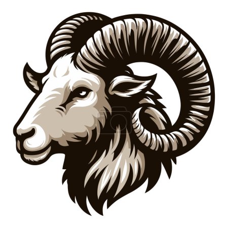 Ilustración de Bighorn cuerno carnero cabeza de oveja cara vector ilustración, mascota de la granja, ganado animal, carnicería elemento de la carnicería, concepto de agricultura, diseño aislado sobre fondo blanco - Imagen libre de derechos