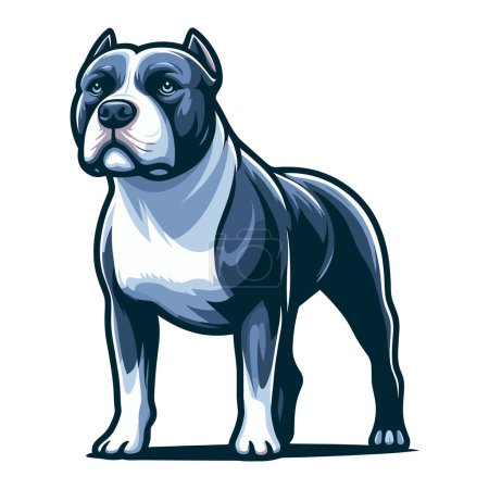 Pitbull bulldog ilustración de diseño de cuerpo completo, Retrato de cuerpo entero de un animal de pie mascota pitbull terrier perro. Plantilla vectorial aislada sobre fondo blanco 