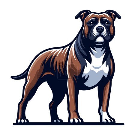 Pitbull bulldog ilustración de diseño de cuerpo completo, Retrato de cuerpo entero de un animal de pie mascota pitbull terrier perro. Plantilla vectorial aislada sobre fondo blanco 