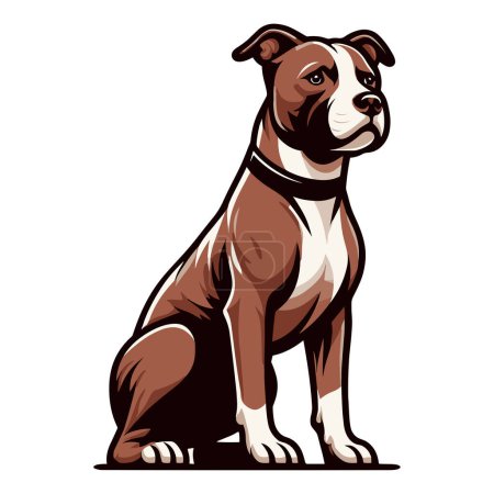 Téléchargez les illustrations : Pitbull bulldog illustration complète du design du corps, portrait complet d'un animal assis pitbull terrier chien. Modèle vectoriel isolé sur fond blanc - en licence libre de droit