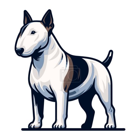 Bull terrier perro cuerpo completo diseño ilustración, de pie concepto de perro de raza pura, lindo adorable mascota divertida animal vector plantilla aislado sobre fondo blanco 