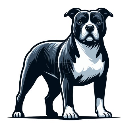 Pitbull bulldog ilustración vector de cuerpo completo, Retrato de cuerpo entero de un animal de pie mascota pitbull terrier perro. Plantilla de diseño aislada sobre fondo blanco 