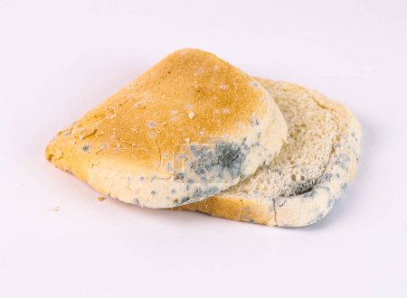 Pan mohoso sobre fondo blanco, primer plano de la foto