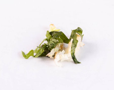 Spoiled salad and arugula on a white background, close-up.