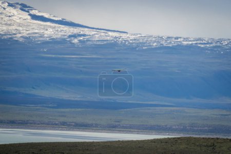 Foto de Cóndor andino vuela sobre lago cerca de montaña - Imagen libre de derechos