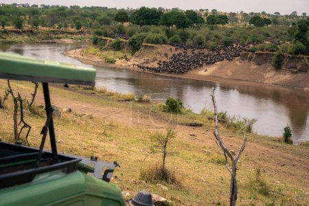 Gnus überqueren Fluss mit Jeep im Vordergrund