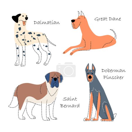 Téléchargez les illustrations : Ensemble de races de chiens 1. Forme plate et dessin au crayon. Vecteur . - en licence libre de droit