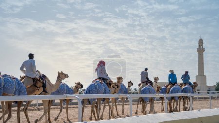 Photo for Al Shahaniya, Doha, Qatar - October 03,2023:camel caretakers are instructing and conditioning the camels at the Al Shahaniya track in preparation for the forthcoming winter season race. - Royalty Free Image
