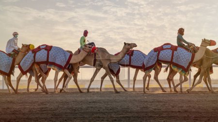 Photo for Ash-Shahaniyah, Qatar- March 21 2022 : Jockeys riding camels at a race track in Qatar. - Royalty Free Image
