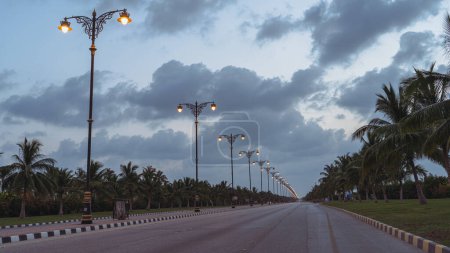 Téléchargez les photos : Salalah, Oman- November 11,2023- beautiful roads of salalah filled with Naturistic scenes. - en image libre de droit