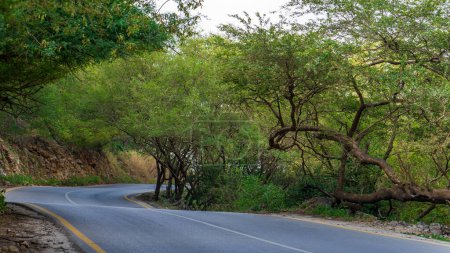 Téléchargez les photos : Salalah, Oman- November 11,2023- beautiful roads of salalah filled with Naturistic scenes. - en image libre de droit