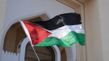 Téléchargez les photos : Agitant le drapeau palestinien en signe de solidarité lors d'une manifestation pour exprimer son soutien aux résidents de Gaza. - en image libre de droit