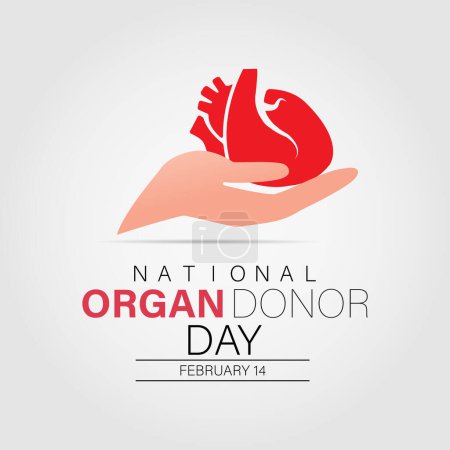 Día del Donante de Órganos que se celebra cada año el 14 de febrero. Banner de salud vectorial, volante, póster y diseño de plantilla social medial.