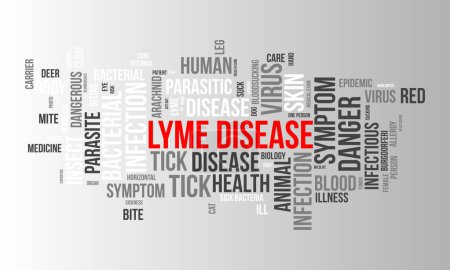 Modèle de nuage de mots maladie de Lyme. Santé et sensibilisation médicale concept vecteur arrière-plan.