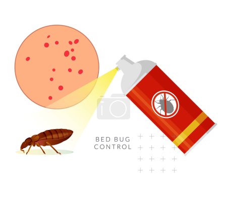 Illustration for Remove Bed Bugs - Genus Cimex - Stock Illustration  as EPS 10 File - Royalty Free Image