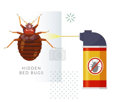 Illustration for Remove Bed Bugs - Genus Cimex - Stock Illustration  as EPS 10 File - Royalty Free Image
