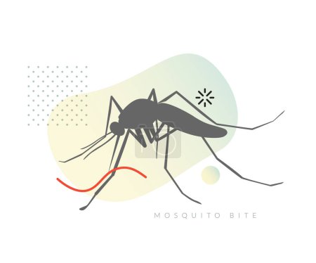 Foto de Picadura de mosquitos en la piel humana - Ilustración de stock como archivo EPS 10 - Imagen libre de derechos