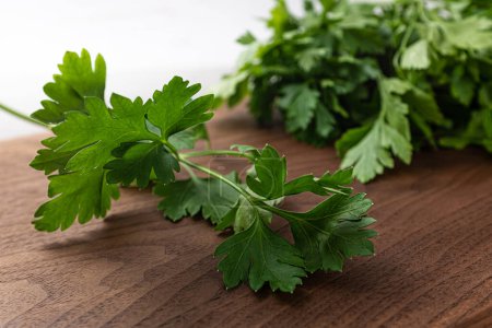 Photo for Flat-leaved, fragrant herb Italian parsley - Royalty Free Image