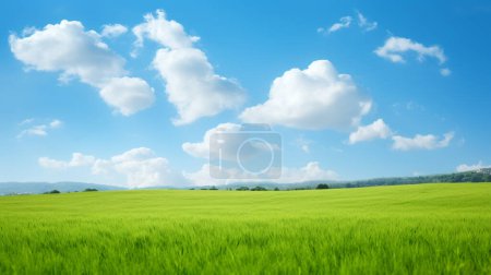 Foto de Hermoso paisaje con hierba verde en el día soleado - Imagen libre de derechos