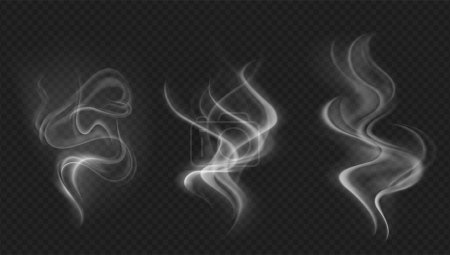 Ilustración de Colección de vectores de humo, fondo aislado y transparente. Set de vapor de humo blanco realista, olas de café, té, cigarrillos, comida caliente,... Efecto niebla y niebla. - Imagen libre de derechos