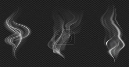 Conjunto de humo transparente realista o vapor en colores blanco y gris, para su uso sobre fondo oscuro. Transparencia solo en formato vectorial
