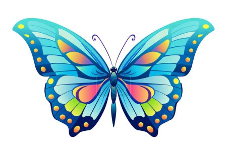 Illustration for Butterfly. Hand drawn vector illustration. - Royalty Free Image