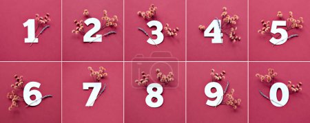 Foto de Números con hierba seca, flores de lavanda. Números uno a diez con decoraciones florales sobre un fondo de papel de color rojo opaco. - Imagen libre de derechos