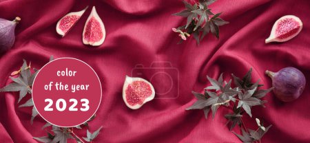 Photo for Fresh halved fig fruits and green maple leaves on raspberry red silk textile background. Panoramic banner image. Vibrant magenta and raspberry red Autumntime colors. - Royalty Free Image