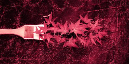 Foto de Pinceles monocromáticos con hojas tonificadas en color Viva Magenta del año 2023. Cepillo cargado con pintura hecha de hojas de arce rojo. Fondo de renovación de la casa de otoño estacional. - Imagen libre de derechos