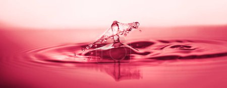 Photo for Viva Magenta color of the year 2023. Water splash on surface, shallow DOF, space for your text - Royalty Free Image