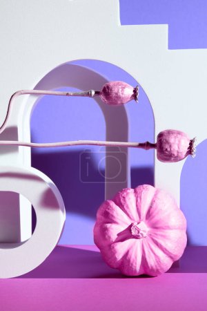 Photo for Painted decrative pumpkin and dry poppy. Contemporary stairs and arches. Abstract geometric elements, surreal background in pink and purple colors. - Royalty Free Image