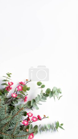 Photo for Pink plum blossoms, flowers on fresh eucalyptus and fir twigs. Decorative corner element, flat lay on white background. Chinese new year composition. Copy-space, place for greeting text, message. - Royalty Free Image