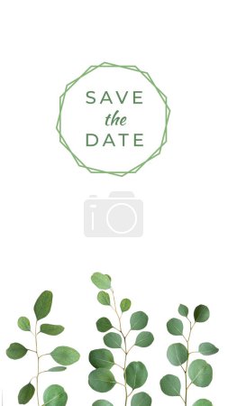 Photo for Save the date card design. Eucalyptus twigs, decorative border isolated on white background. Delicate grey green silver dollar eucalyptus leaves, copy-space, text space. Flat lay, top view overhead. - Royalty Free Image