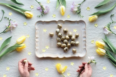 Foto de Natural Easter decor, overhead, flat lay with quail eggs, feather wreath, yellow tulip flowers on off white textile background. Flat lay, top view low impact springtime background with human hands. - Imagen libre de derechos