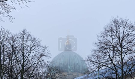 Foto de Cúpula de la catedral principal de Berlín Alemania cubierta de niebla pesada detrás de brunches secos de los ajustes - Imagen libre de derechos