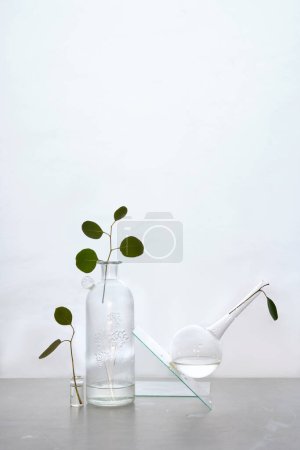 Téléchargez les photos : Nature morte abstraite avec des brindilles d'eucalyptus et des vases et bocaux en verre, couleurs tamisées, fond blanc cassé - en image libre de droit