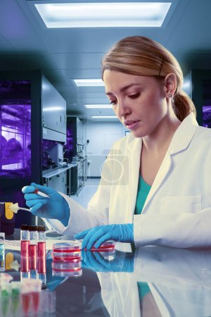 Photo for Caucasian female scientist, biologist, biochemist does cell culture work in research laboratory, pharmaceutical, academic research facility. - Royalty Free Image