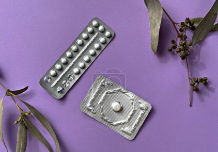 Téléchargez les photos : Deux paquets différents de pilules contraceptives sur fond de papier coloré avec des feuilles d'eucalyptus, vue aérienne. Pack mensuel et pilule du lendemain, illustrant le concept de santé féminine moderne. - en image libre de droit