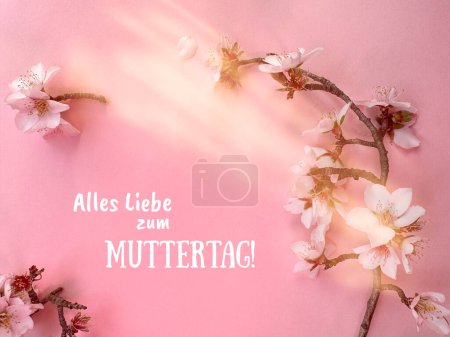 Téléchargez les photos : Fond rose avec fleurs d'amande de printemps et texte Alles Liebe zum Muttertag qui signifie Bonne fête des mères en langue allemande. - en image libre de droit