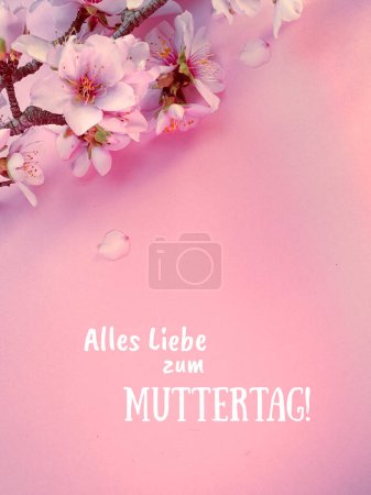 Foto de Fondo rosa con flores de almendras de primavera y texto Alles Liebe zum Muttertag que significa Feliz Día de la Madre en idioma alemán. - Imagen libre de derechos