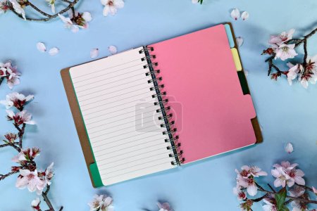 Foto de Cuaderno abierto en blanco y flores de almendras rosadas, fondo de primavera con espacio de copia, maqueta de cuaderno con espacio para su texto, ilustraciones o letras sobre fondo de papel de color azul. - Imagen libre de derechos