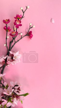 Téléchargez les photos : Fleurs florissantes d'amande et de prune rouge sur un fond de papier rose, papier peint avec copie-espace. Une image fraîche et délicieuse capturant la beauté de la nature - en image libre de droit