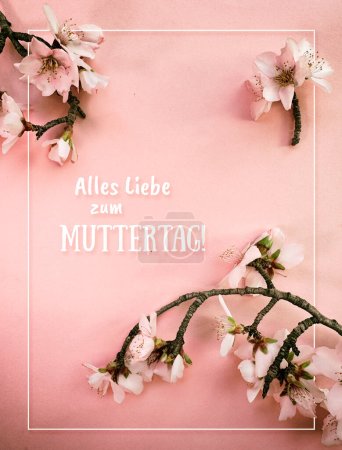 Téléchargez les photos : Fond rose avec fleurs d'amande de printemps et texte Alles Liebe zum Muttertag qui signifie Bonne fête des mères en langue allemande. - en image libre de droit