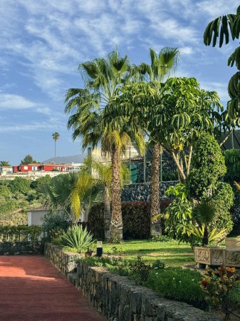 A pathway flanked by trees leads up a hill to a charming house overlooking the landscape. Tenerife, Canary islands, Spain.