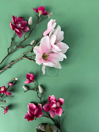 Téléchargez les photos : Un bel arrangement de magnolia rose et de fleurs de prune orne un mur vert vibrant, créant un affichage visuellement frappant. - en image libre de droit
